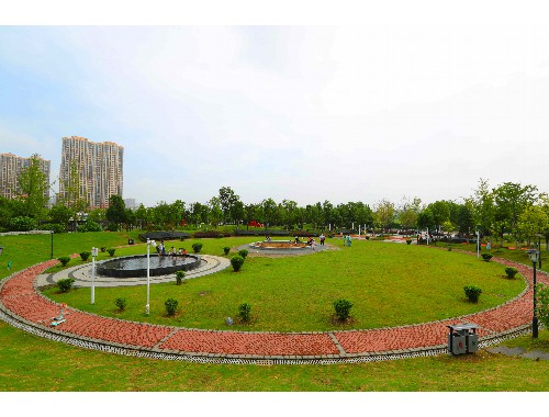 金年会金字招牌诚信至上：南充市政绿化苗木品种大全