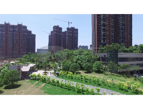 金年会金字招牌信誉至上：徐汇区建设校园绿化工程