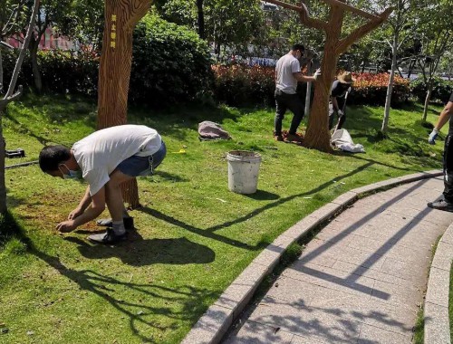 金年会金字招牌诚信至上：永济市城市绿化条例最新